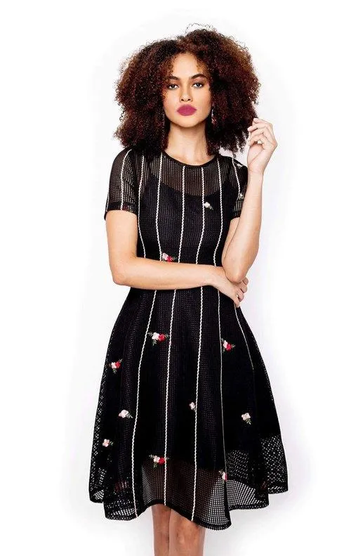 Embroidered open mesh lace lbd littlecocktail black slim dress - Ziva